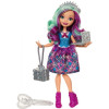 Кукла Ever After High Волшебный учебный год (FJH06)
