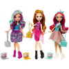 Кукла Ever After High Волшебный учебный год (FJH06)