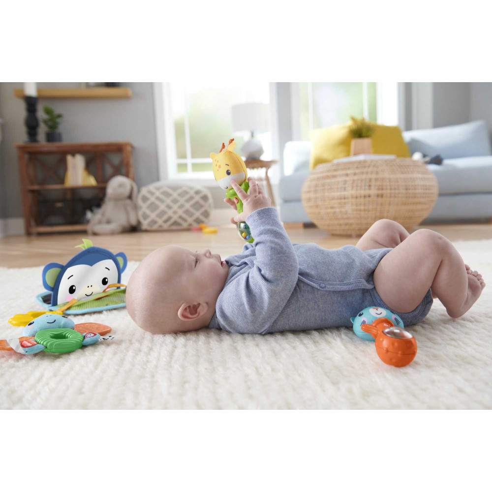 Ігровий набір брязкалець Fisher-Price Веселі розваги (HFJ92)