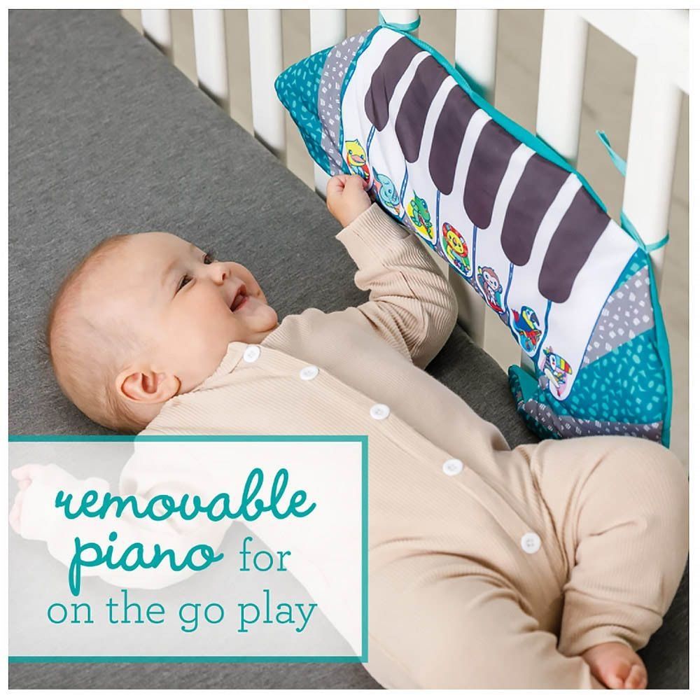 Подушка-рояль 3 в 1 Infantino Енот (313021I)