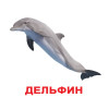 Подарочный набор карточек Домана Вундеркинд с пелёнок Выпуск 1 "Мир животных" (рус) ламинация (93511)