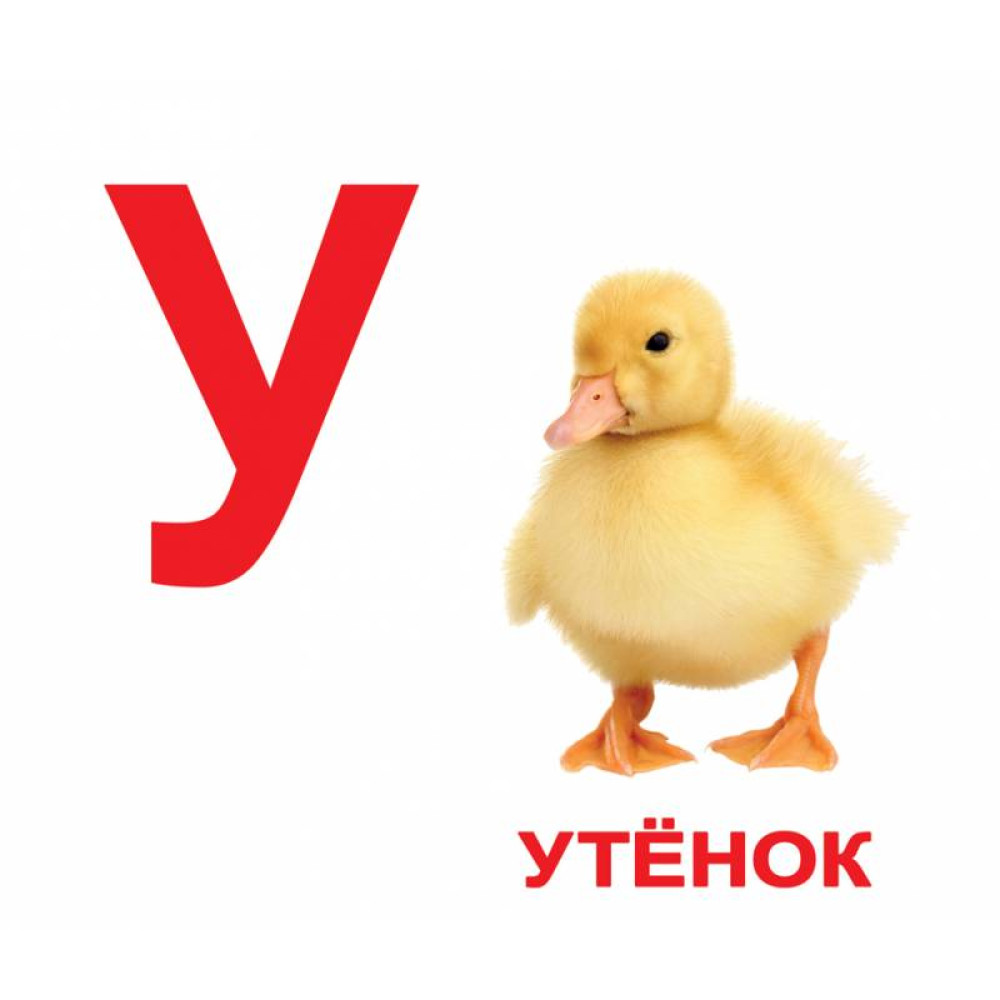 Великі карточки Домана Вундеркинд с пелёнок Алфавіт, рос. мовою 34 шт (30935)