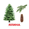 Карточки Домана Вундеркинд с пелёнок "Деревья" ламинированные на украинском (94415)