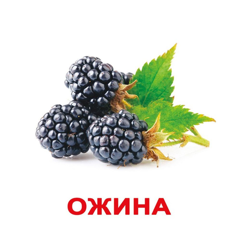Картки Домана Вундеркінд з пелюшок Ягоди українською (97041)