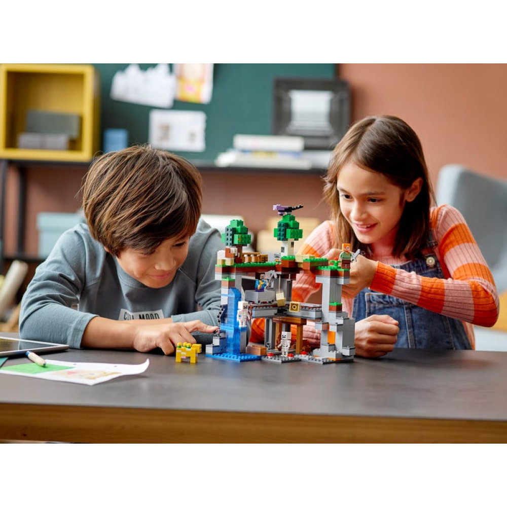 Конструктор Lego Minecraft Перша пригода (21169) Конструктор Lego Minecraft Перша пригода (21169)