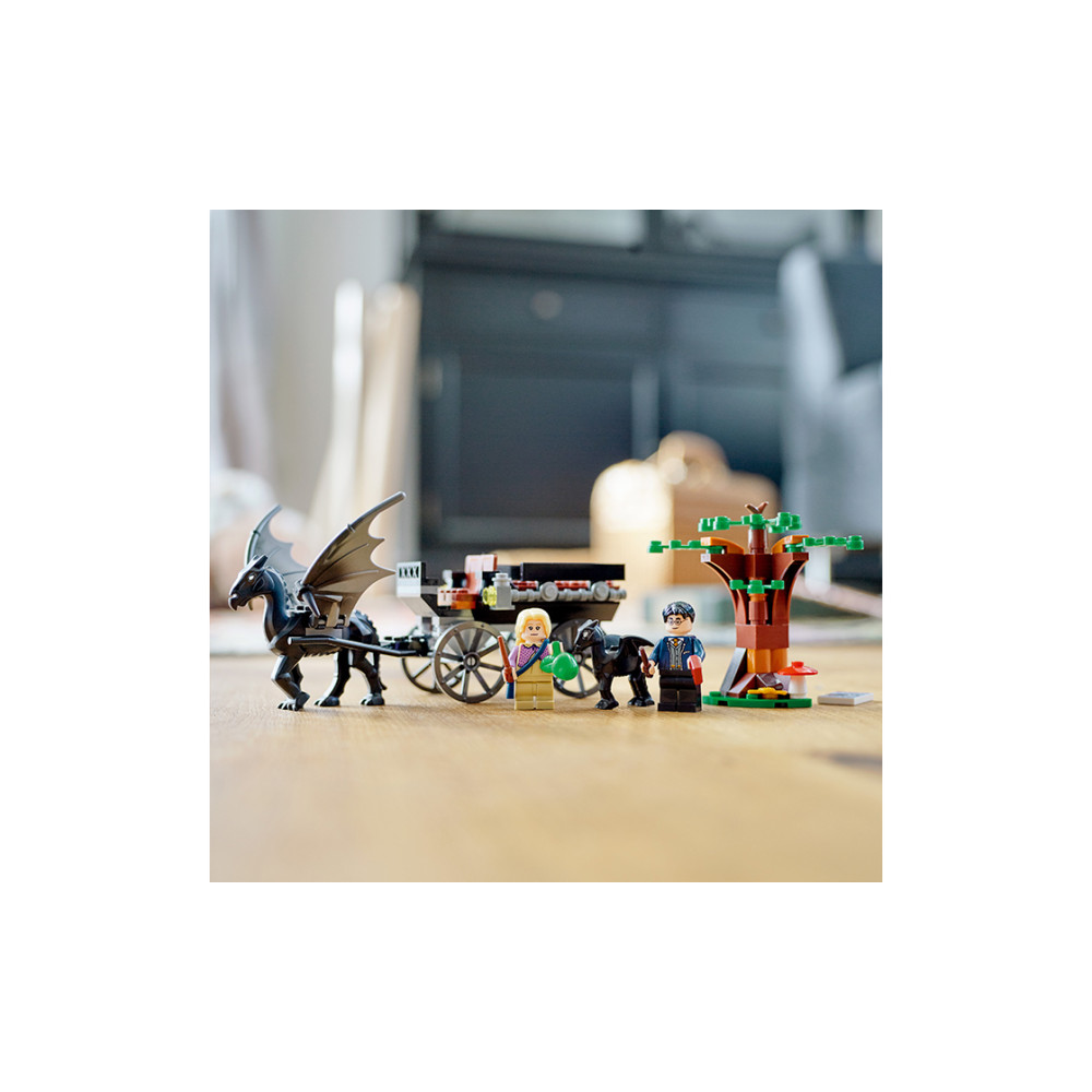 Конструктор Lego Hogwarts Карета и Фестрали (76400)