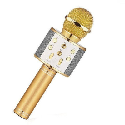 Микрофон караоке Handheld KTV (WS858) Микрофон караоке Handheld KTV (WS858)