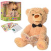 Інтерактивна іграшка Toys Chuang Ведмедик-казкар в асортименті, 1 шт (CL1692)