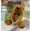 Інтерактивна іграшка Toys Chuang Ведмедик-казкар в асортименті, 1 шт (CL1692)