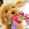 Інтерактивна іграшка My Fuzzy Friends Лабрадудль Moji (18207)