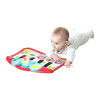 Музыкальная игрушка Playgro Пианино со световым эффектом (0186367)