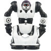 Мини-робот Wow Wee RC Robosapien 12 см (W3885)