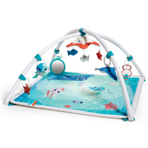 Развивающий коврик с дугами Tiny Love Сокровища Океана (1207006830)  