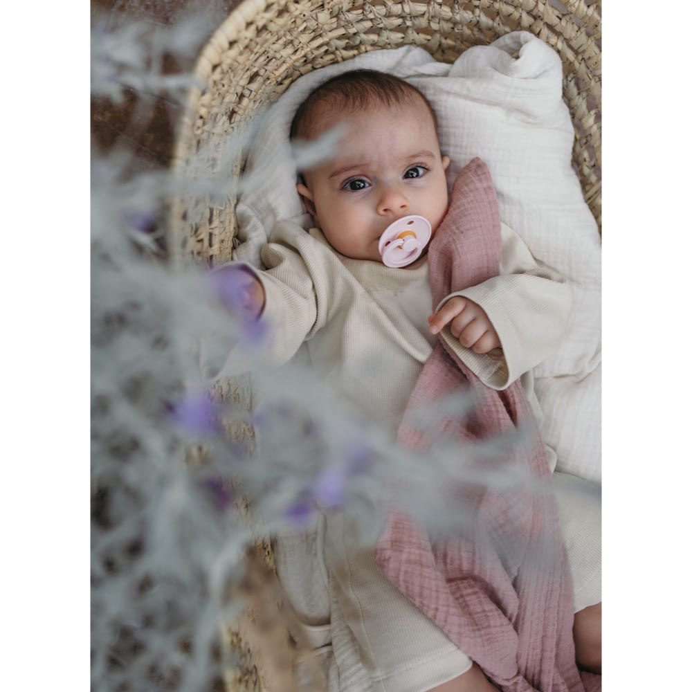Пустышка Bibs Colour 6-18 мес, латекс (blossom)