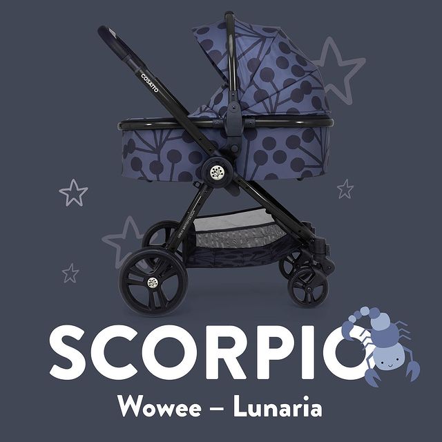 модна дитяча коляска Cosatto Wowee для немовляти