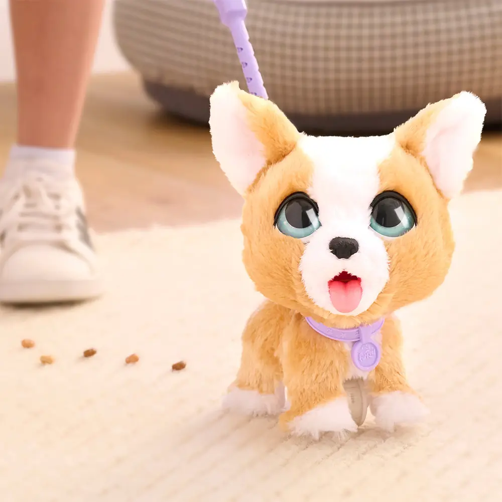 Коргі Furreal на підлозі поруч із ласощами