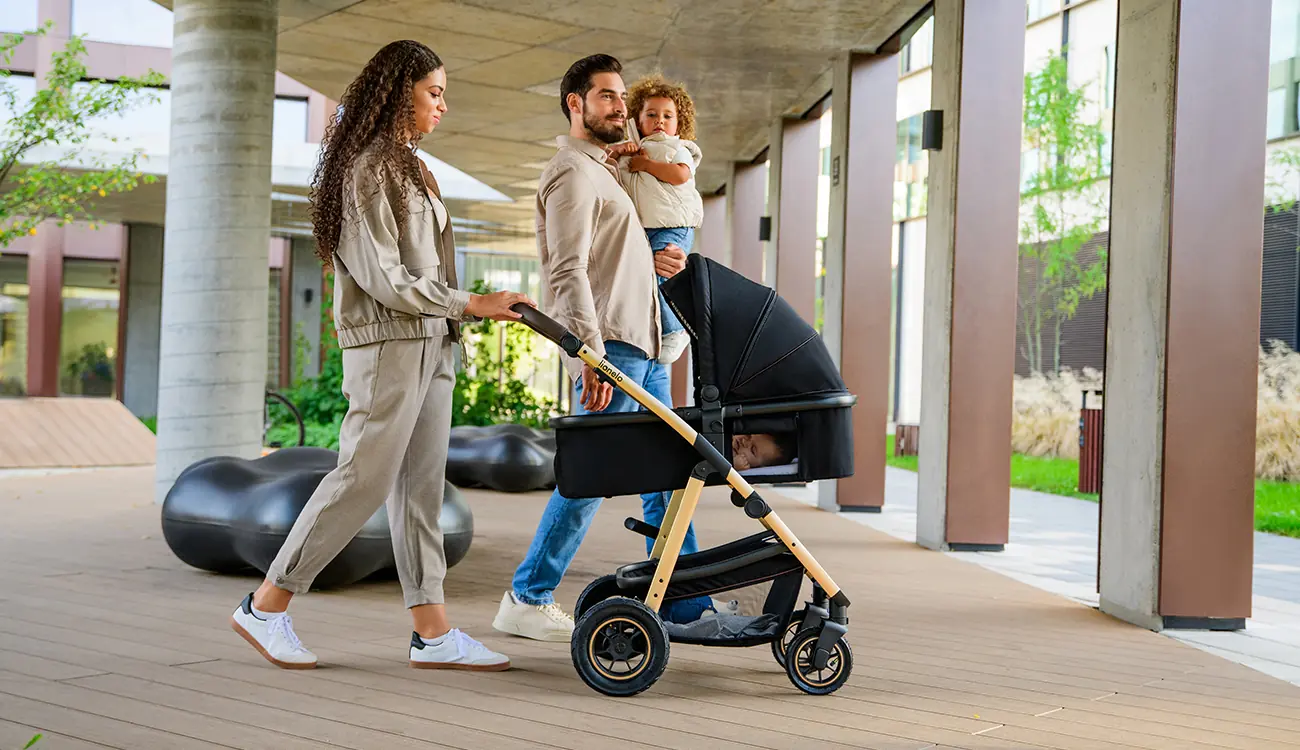 Детская коляска Lionelo Amber 2в1