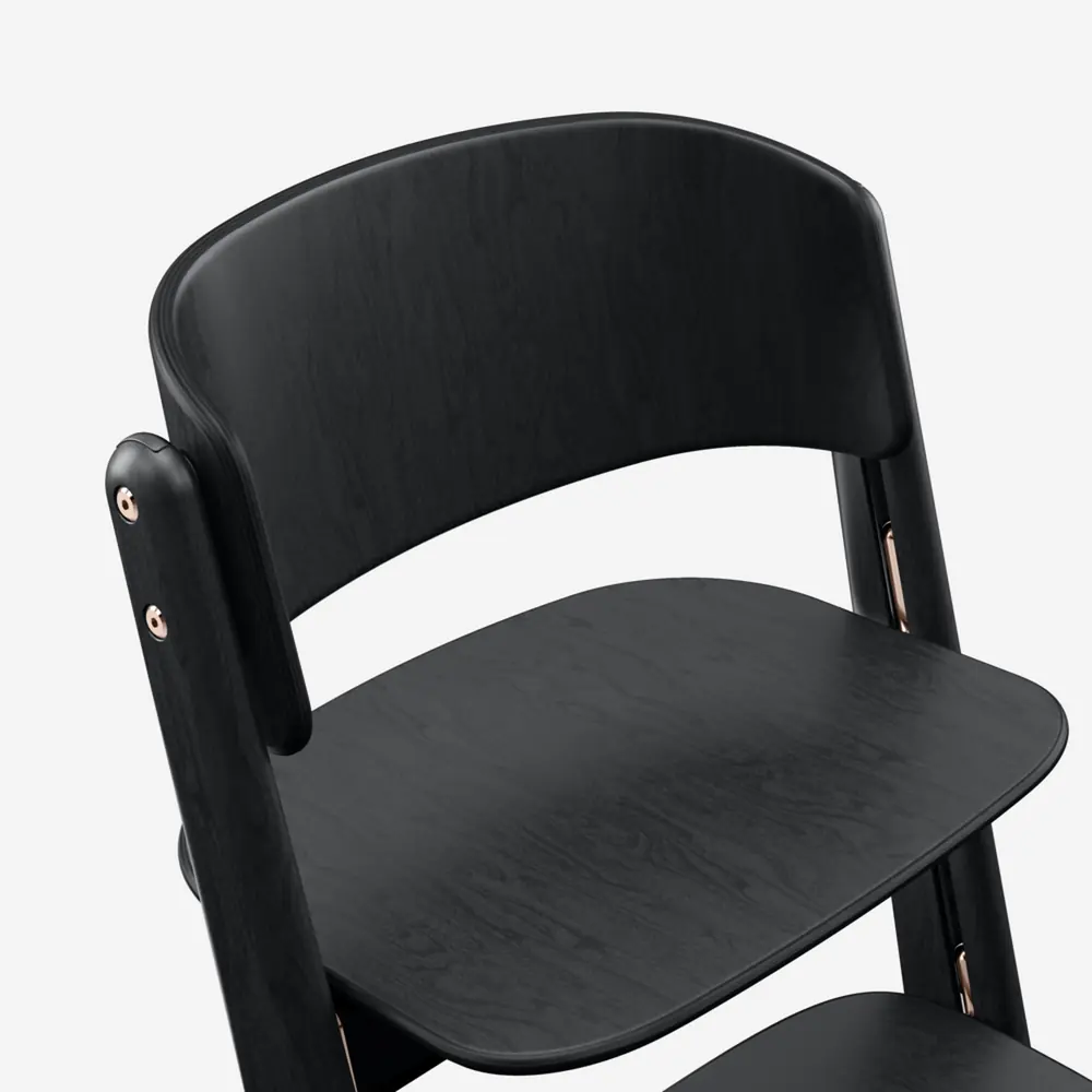 Бук из устойчивых источников: Cybex Lemo Platinum