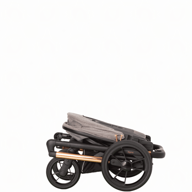 Особливості універсальної коляски Carrello Sigma