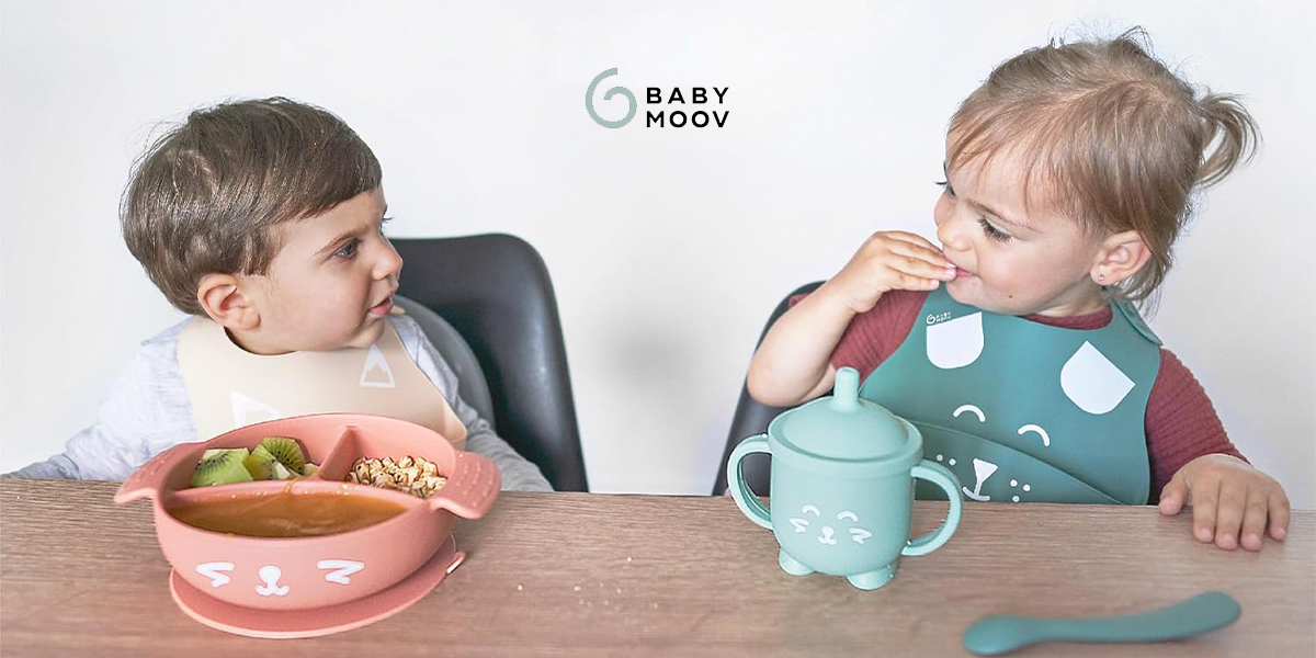 Блендер-пароварка Babymoov Nutribaby Glass