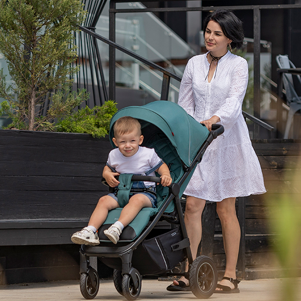 Прогулочная коляска Carrello для родителей