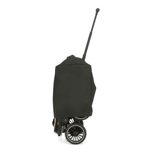 Cam Compass