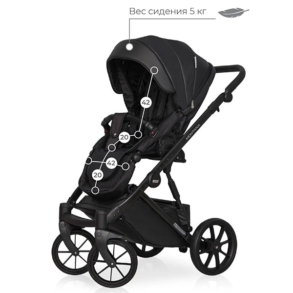 Детская коляска 2 в 1 Riko Montana Ecco