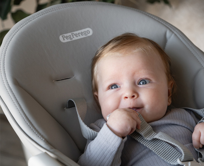 Peg Perego Prima Pappa Follow Me обивка
